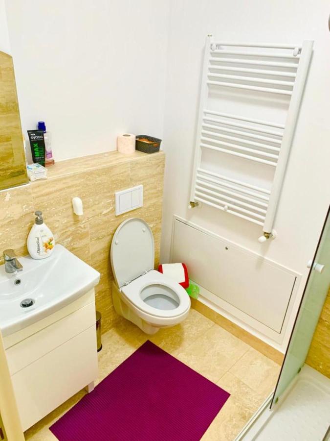 Big & Cosy Apartment With 3 Double Beds & 2 Bathrooms Iasi Exterior foto